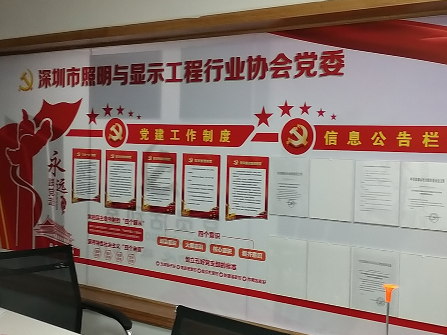 深圳市照明与显示工程行业协会.jpg